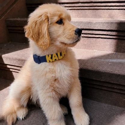 Collar de perro personalizable con charms