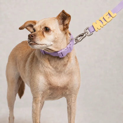 Correa de perro personalizable con charms