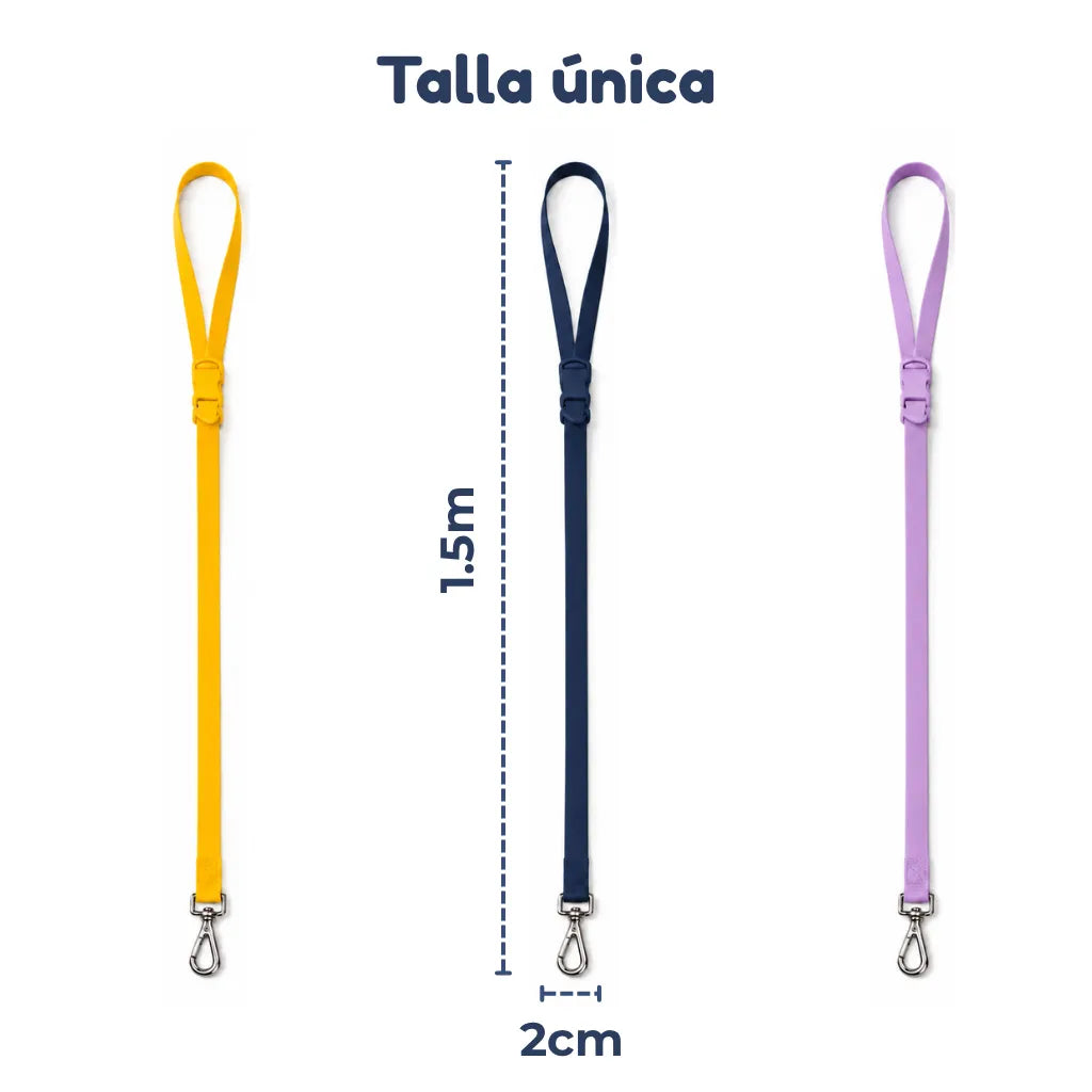 Correa de perro personalizable con charms