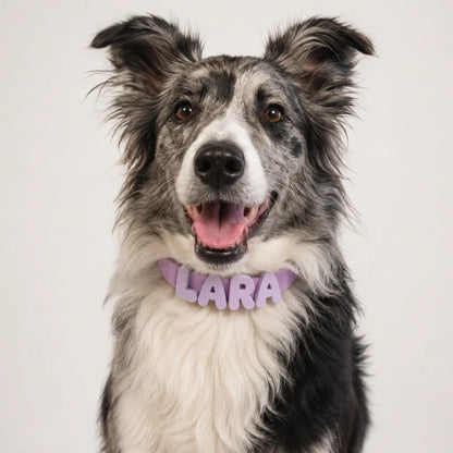 Collar de perro personalizable con charms