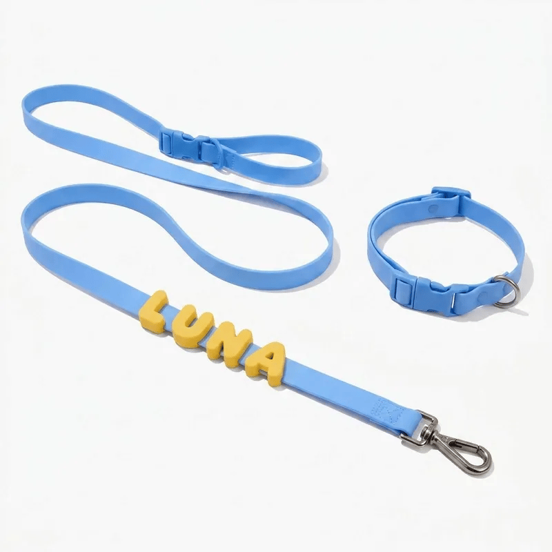 Set collar y correa personalizables con charms