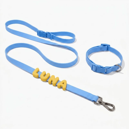 Set collares y correas personalizables de silicona