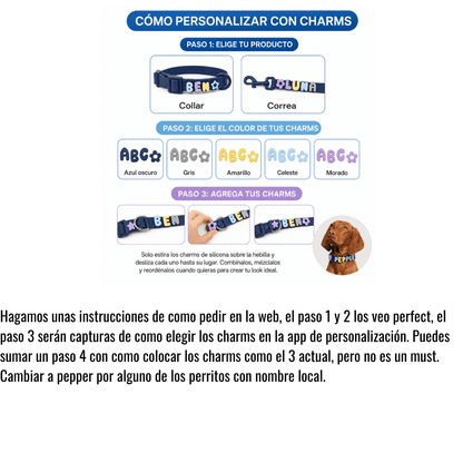 Collar de perro personalizable con charms