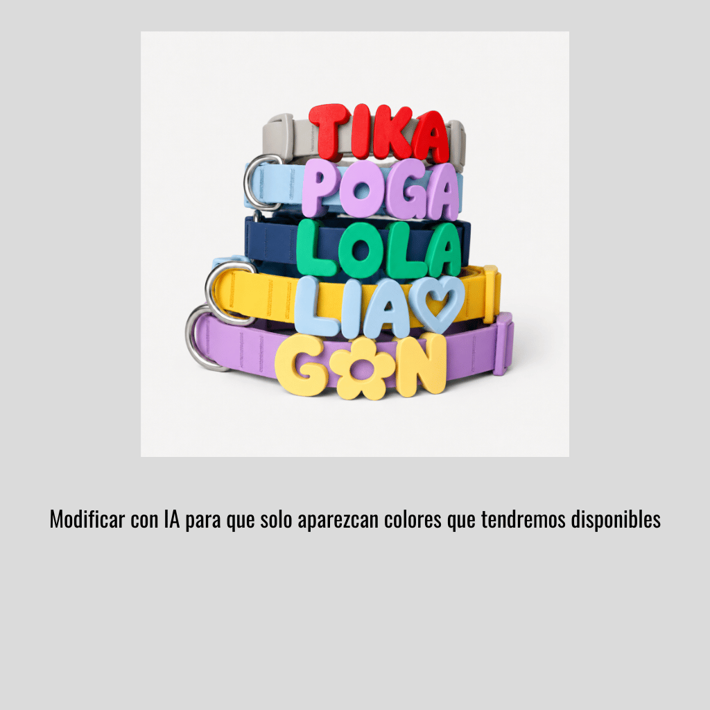 Collar de perro personalizable con charms