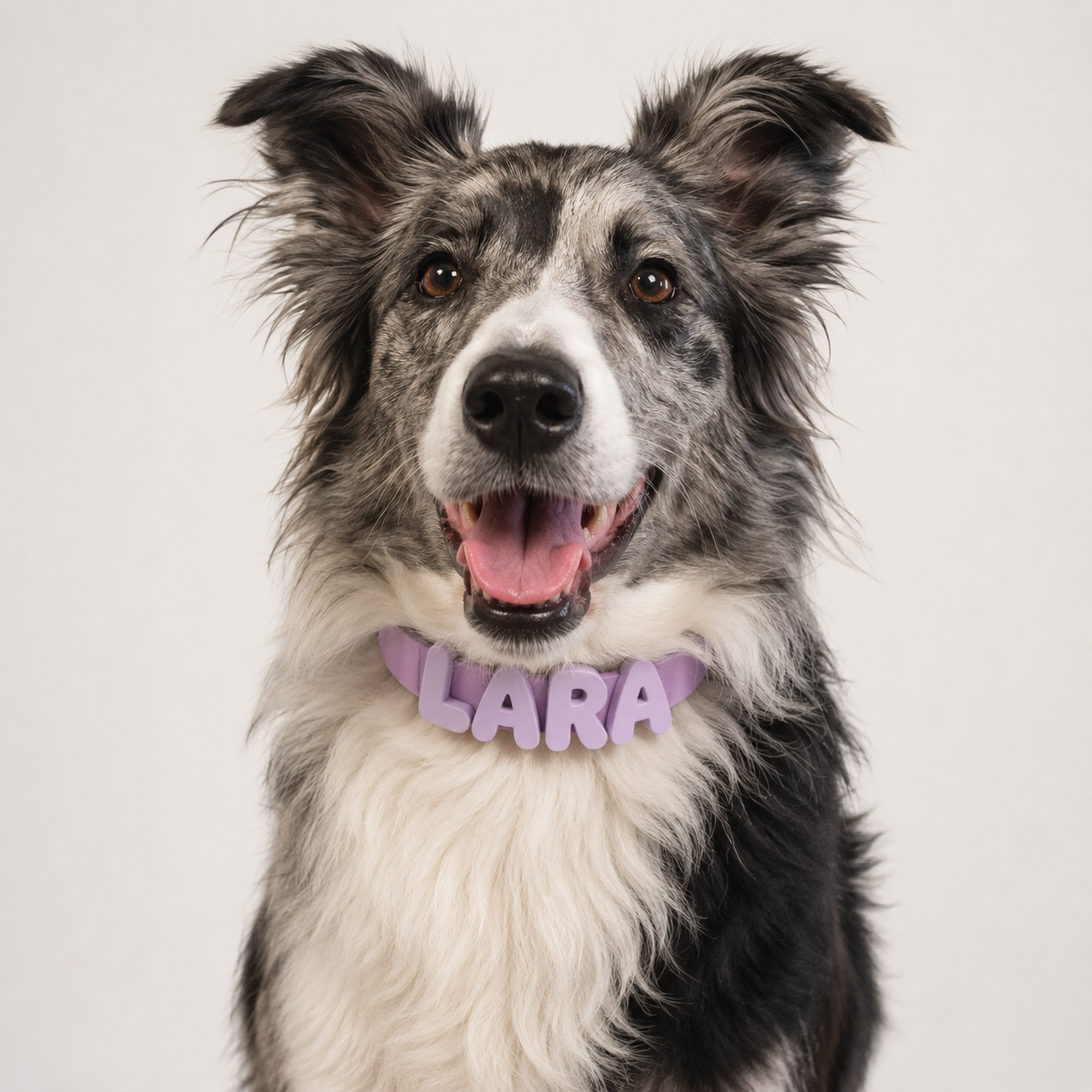 Collar de perro personalizable con charms