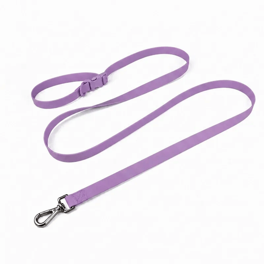 Correa de perro personalizable con charms