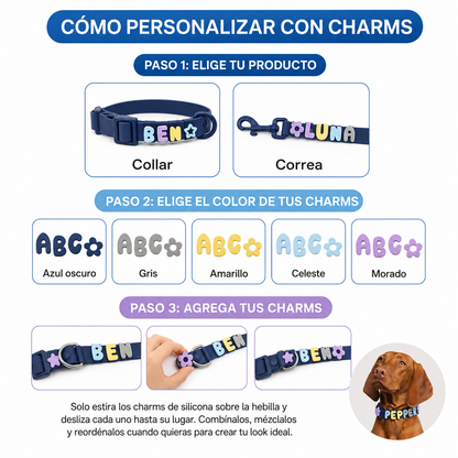 Collar de perro personalizable con charms