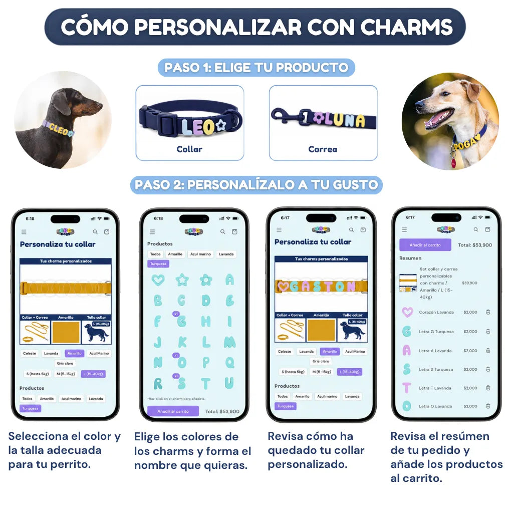 Set collar y correa personalizables con charms