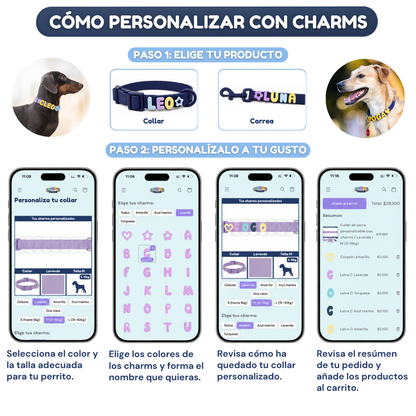 Collar de perro personalizable con charms