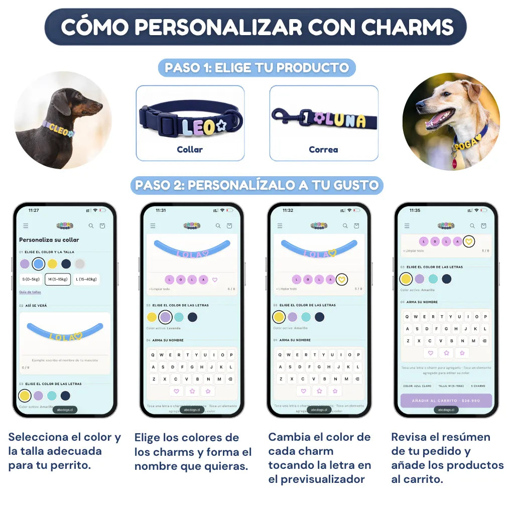 Set collar y correa personalizables con charms