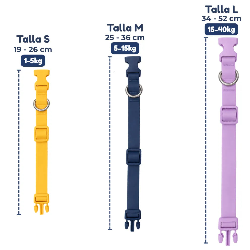 Collar de perro personalizable con charms
