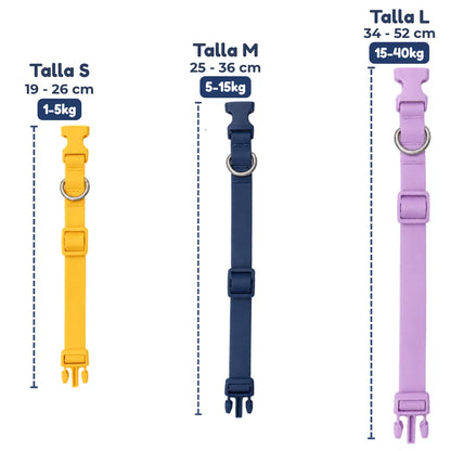 Collar de perro personalizable con charms