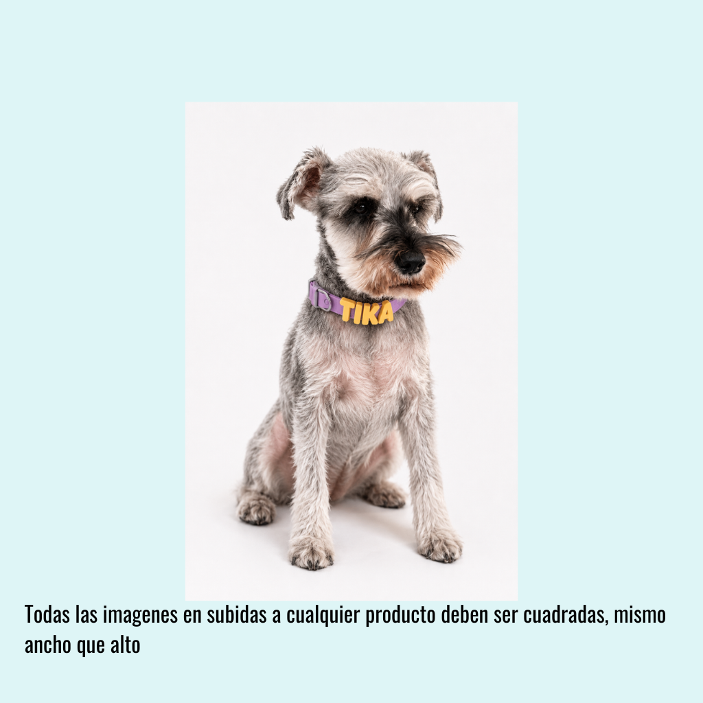 Collar de perro personalizable con charms