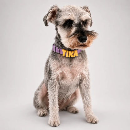Collar de perro personalizable con charms