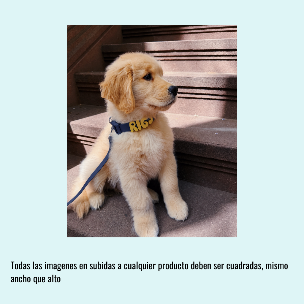 Collar de perro personalizable con charms