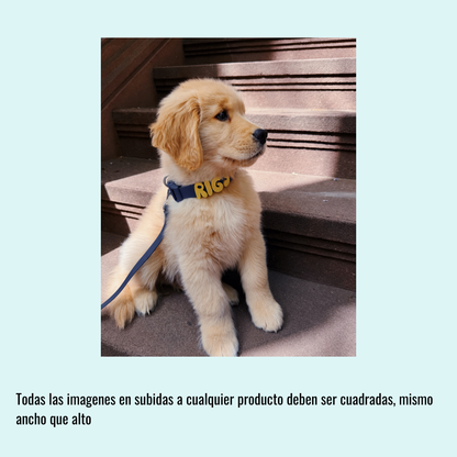 Collar de perro personalizable con charms